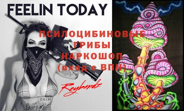 гидра Михайлов