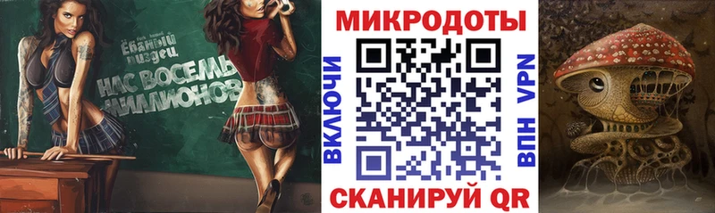 Галлюциногенные грибы Psilocybine cubensis Пятигорск