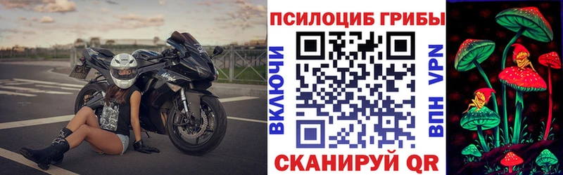 Купить где  Пятигорск  Галлюциногенные грибы MAGIC MUSHROOMS 