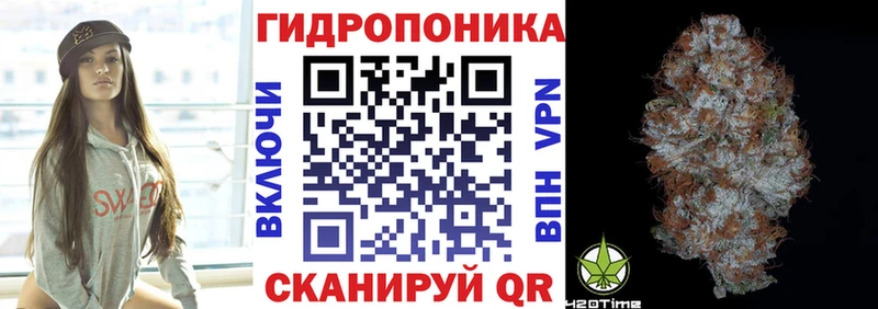 Каннабис сатива  Купить  Пятигорск 